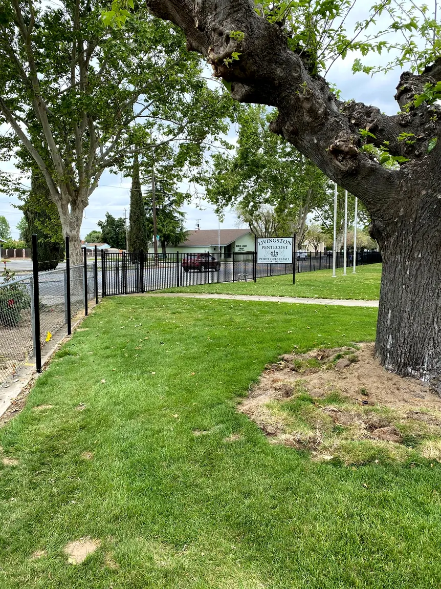 Black ornamental fence in a landscaped area